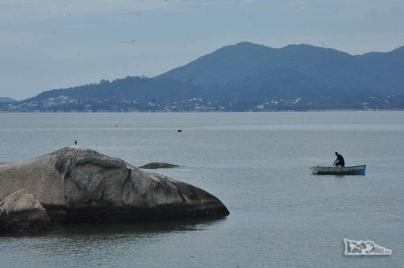 Pescador no mar tranquilo em frente a Av. Beira-mar norte, em Florianópolis, Santa Catarina